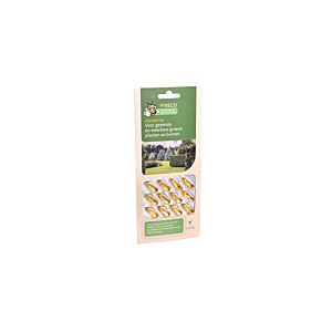 Pireco FoliseVital 12 capsules