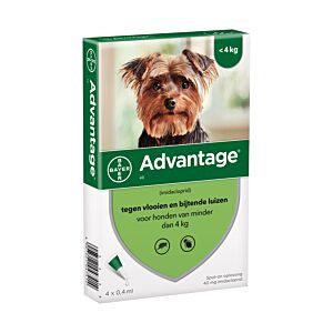 Advantage Hond 40 4 pipet