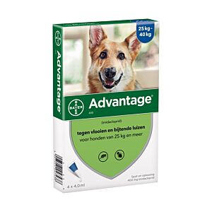 Advantage Hond 400 4 pipet