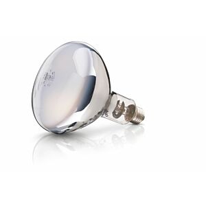 Warmtelamp Philips 250 watt wit 230-250V