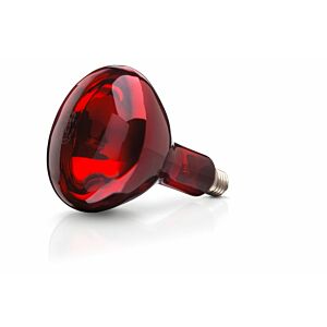 Warmtelamp Philips 250 watt rood 230-250V