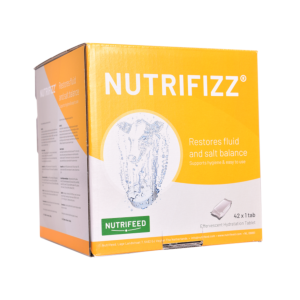 Nutrifizz Bruistablet 42 x 1 tablet