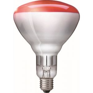 Warmtelamp Philips 150 watt rood 230-250V