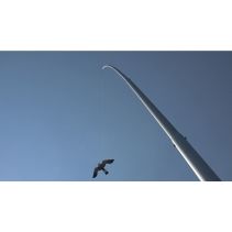 Black Hawk Kite 8,5 meter aluminium