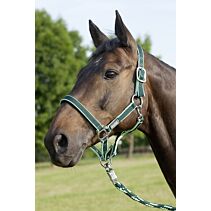 Halster USG donkergroen/lichtgroen maat Pony