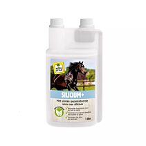 Vitalstyle Silicium 1 liter