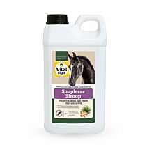 Vitalstyle SouplesseSiroop 2,5 liter