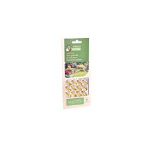 Pireco FloreVital 12 capsules