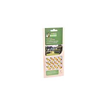 Pireco FoliseVital 12 capsules