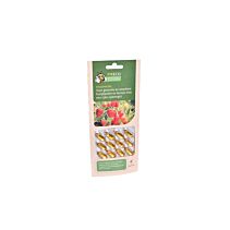Pireco FoliumVital 12 capsules