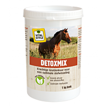Vitalstyle DetoxMix 1 kg