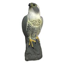Slechtvalk 40 cm