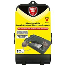 Val Muizen Catch&Hold Protect Home