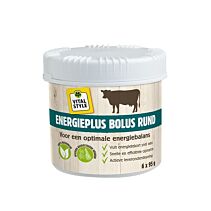Vitalstyle Energieplus Bolus 6 x 95 gram
