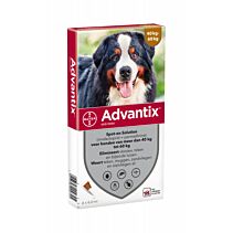 Advantix 600 (40-60 kg) 4 pipet