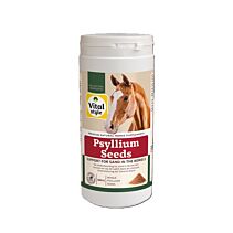 Vitalstyle Psylliumzaad 800 gr