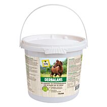 Vitalstyle OerBalans Brok 4 kg emmer