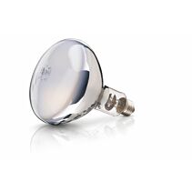 Warmtelamp Philips 250 watt wit 230-250V